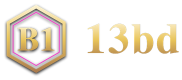 13bd logo